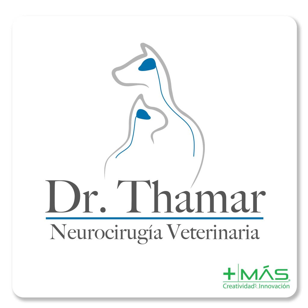Portafolio-dr-oscar-thamar