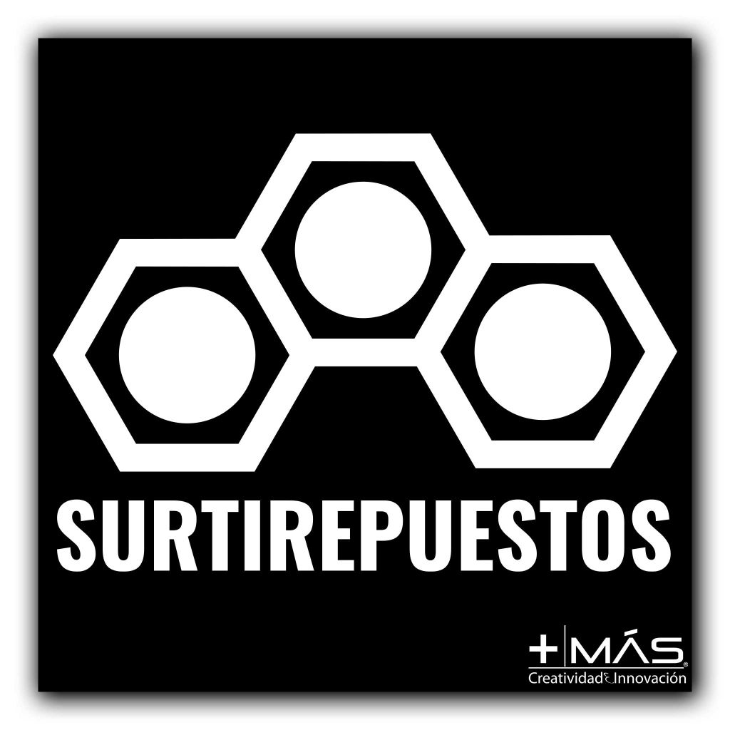 Portafolio_surtirepuestos-3